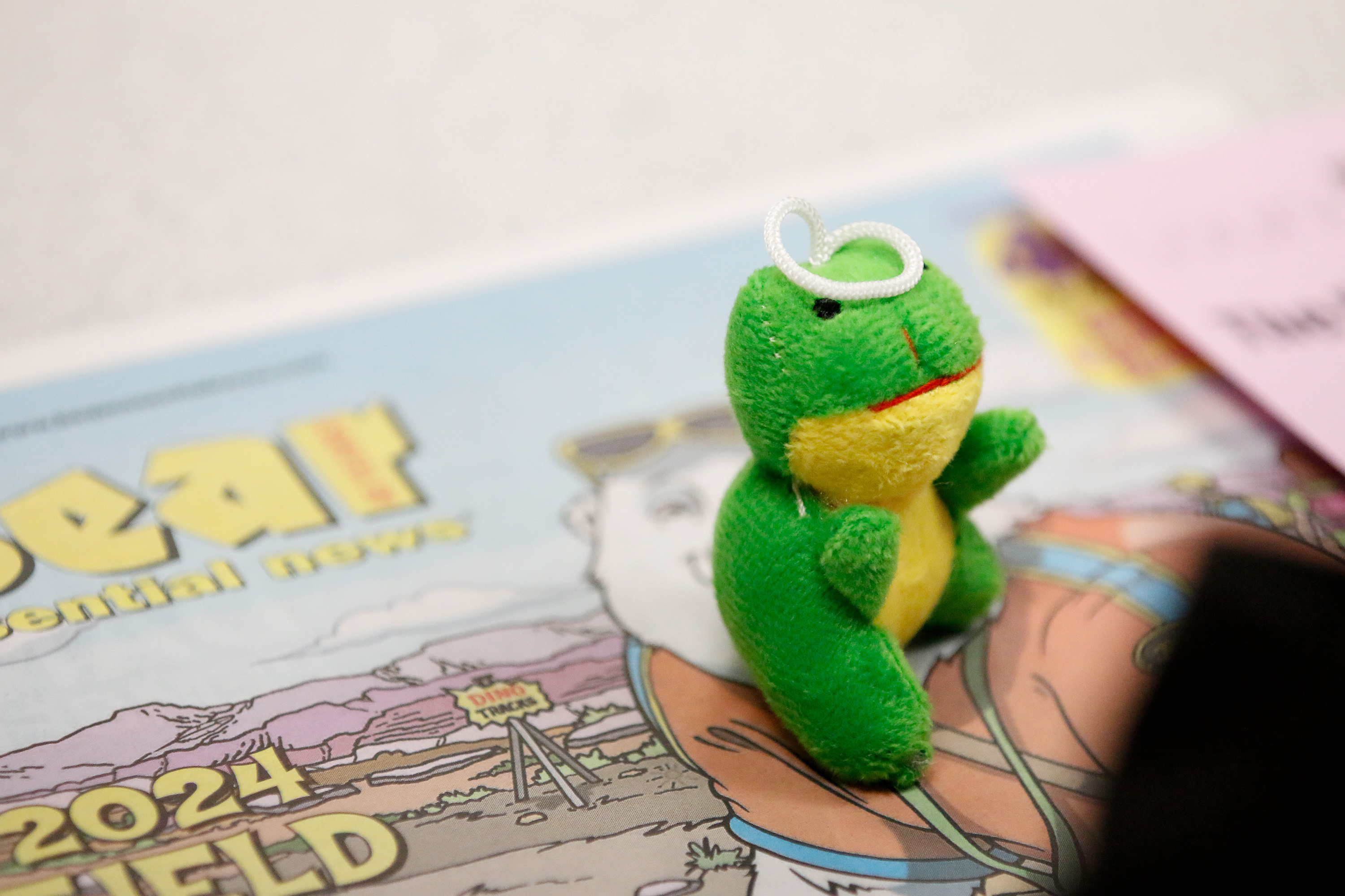 A plush frog toy sits on a copy of Bear Essential News